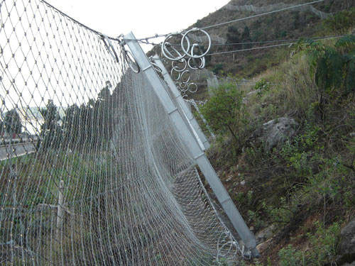 新希望北京智能猪场项目土建钢结构工程施工